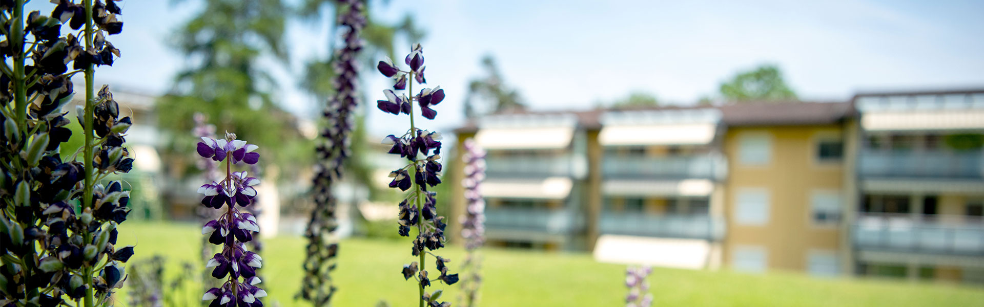 Entdecken Sie unsere Siedlung.